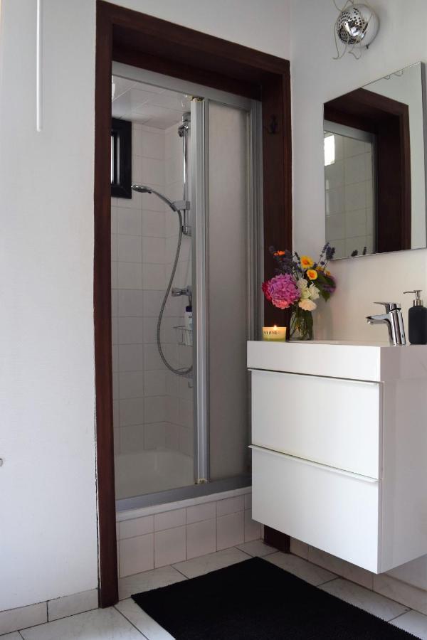 Cosy Apartment In The Center Of Bruksela Zewnętrze zdjęcie